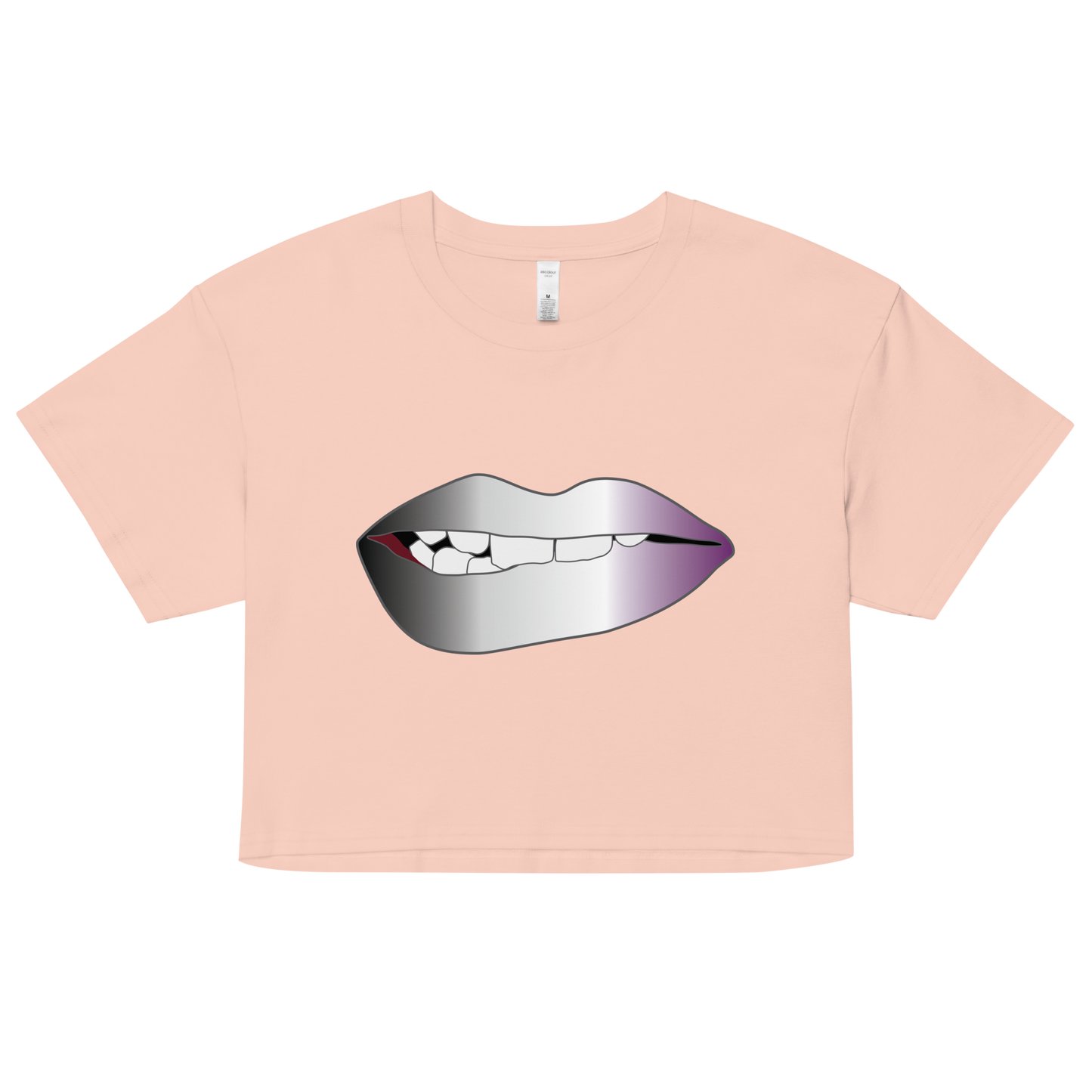 Biting Lips - Asexual/Demisexual Pride - Gradient Women’s crop top