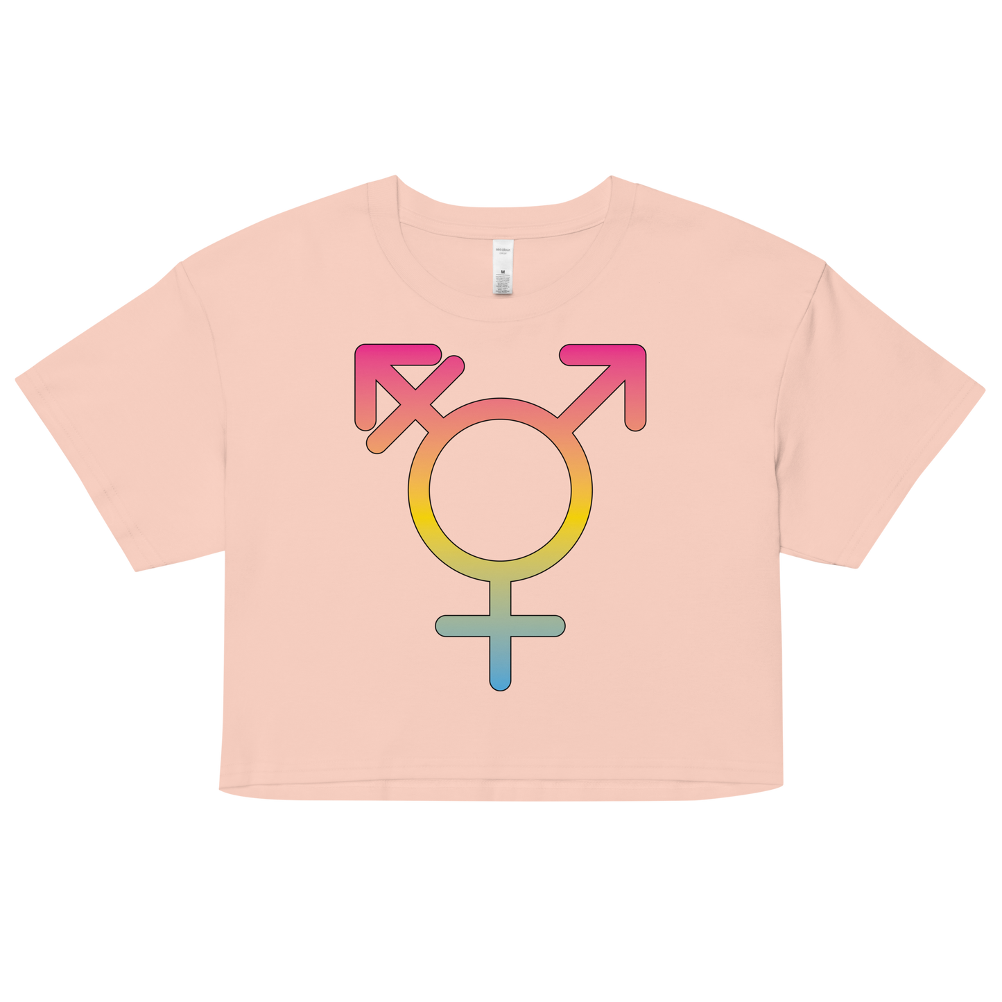 Transgender Symbol - Pansexual Pride Women’s crop top