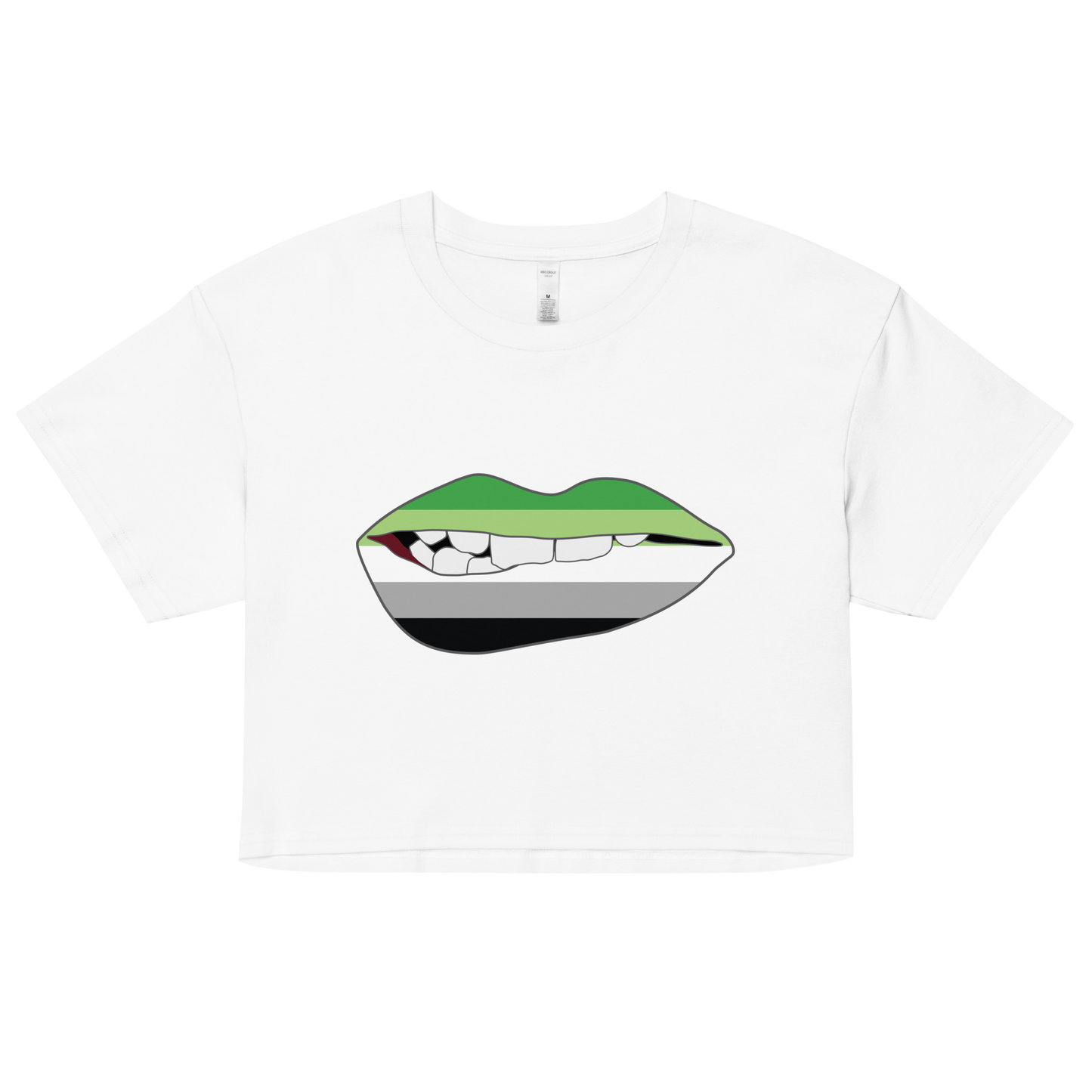 Biting Lips - Aromantic Flag Women’s crop top