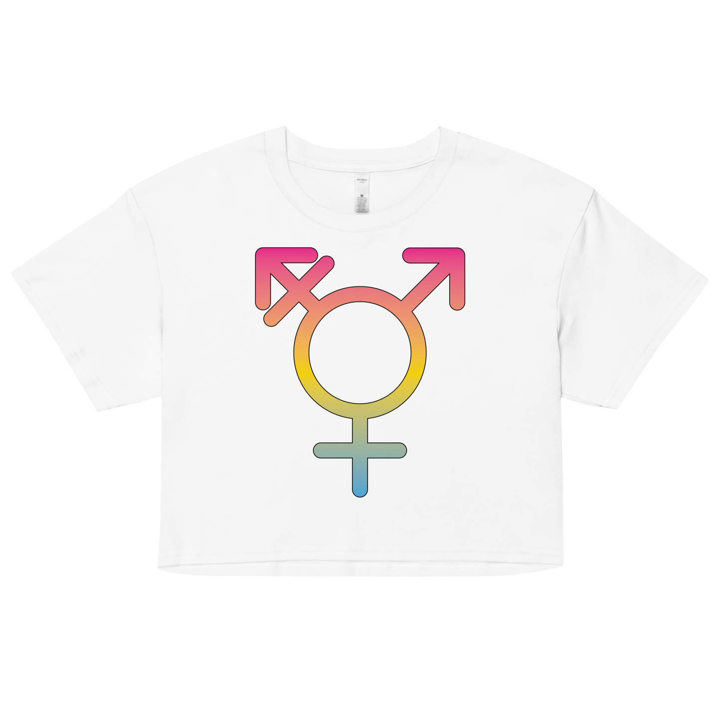 Transgender Symbol - Pansexual Pride Women’s crop top