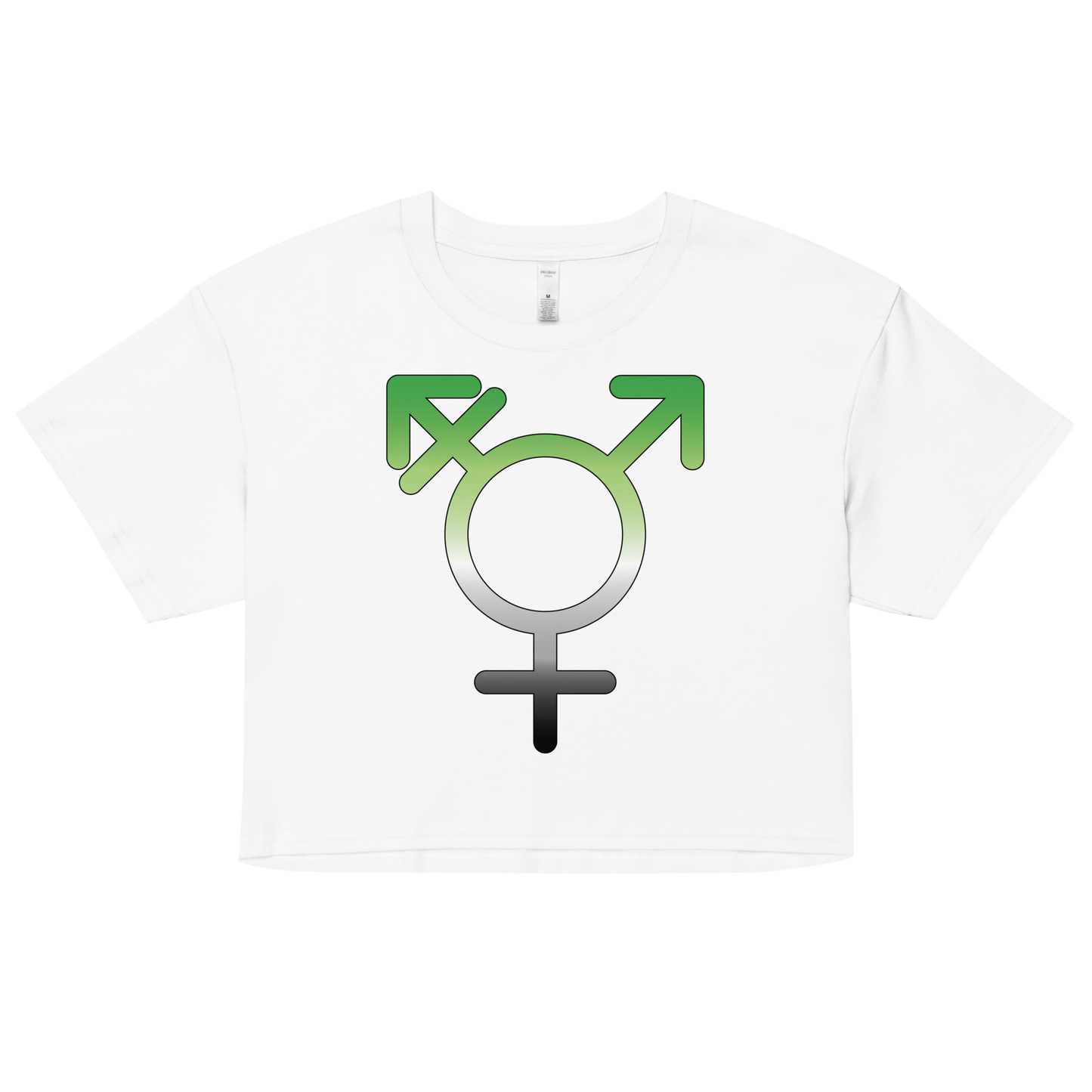 Transgender Symbol - Aromantic Pride Women’s crop top