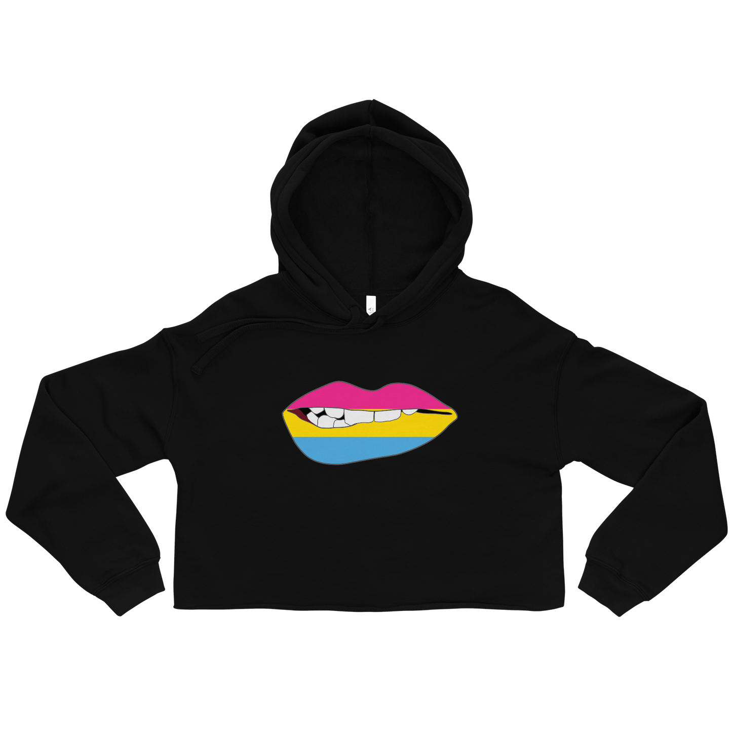 Biting Lips - Pansexual Flag Crop Hoodie