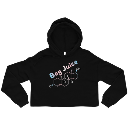 Boy Juice Crop Hoodie