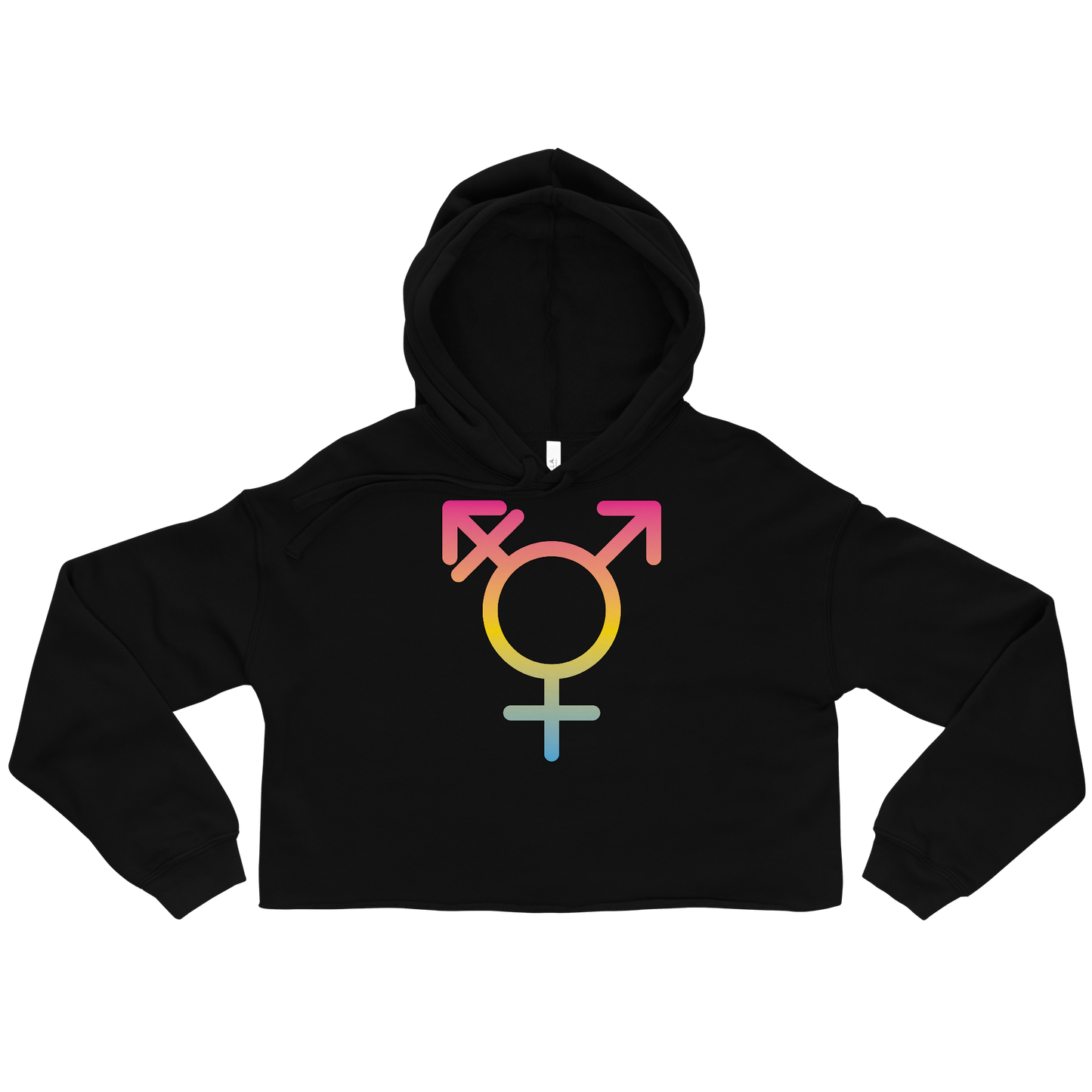 Transgender Symbol - Pansexual Pride Crop Hoodie