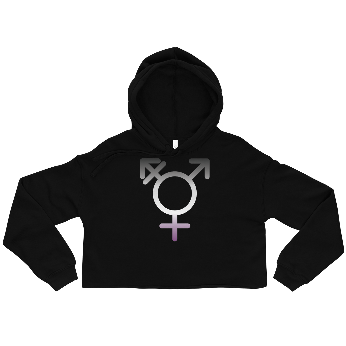 Transgender Symbol - Asexual/Demisexual Pride Crop Hoodie