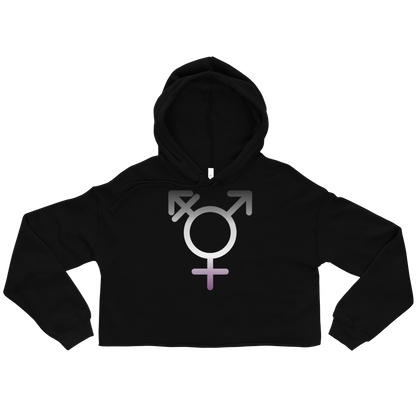 Transgender Symbol - Asexual/Demisexual Pride Crop Hoodie