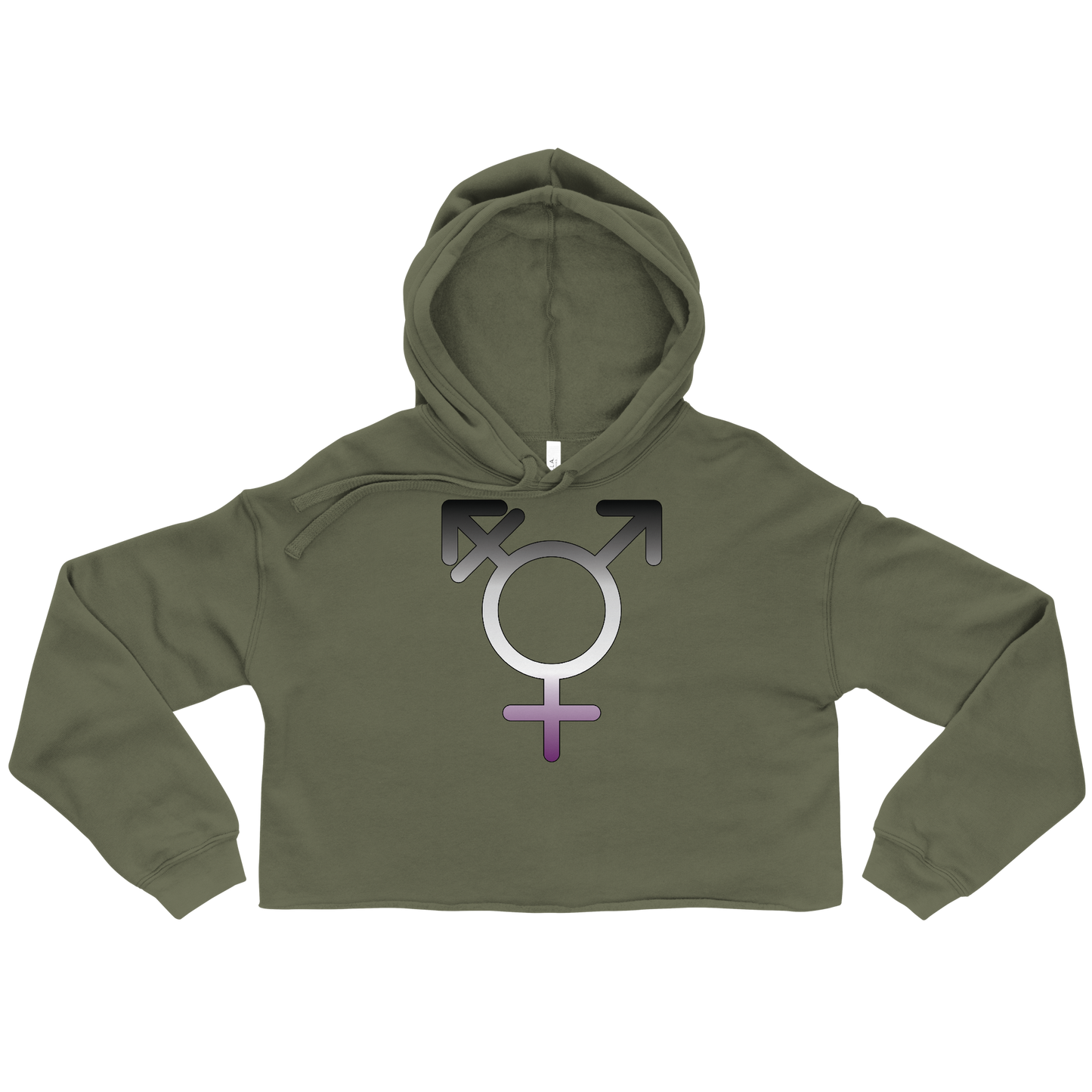 Transgender Symbol - Asexual/Demisexual Pride Crop Hoodie