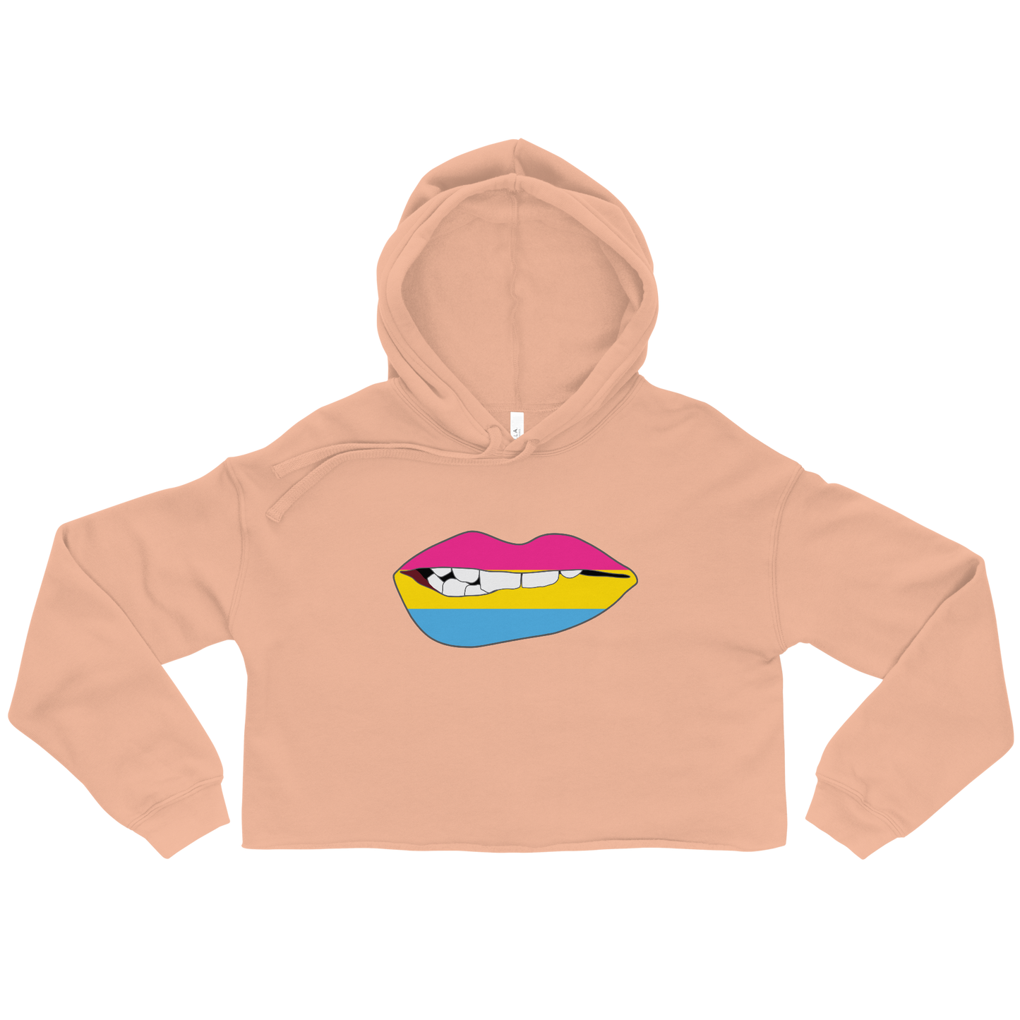 Biting Lips - Pansexual Flag Crop Hoodie