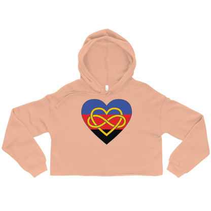 Polyamory Infinity Heart Pride Crop Hoodie