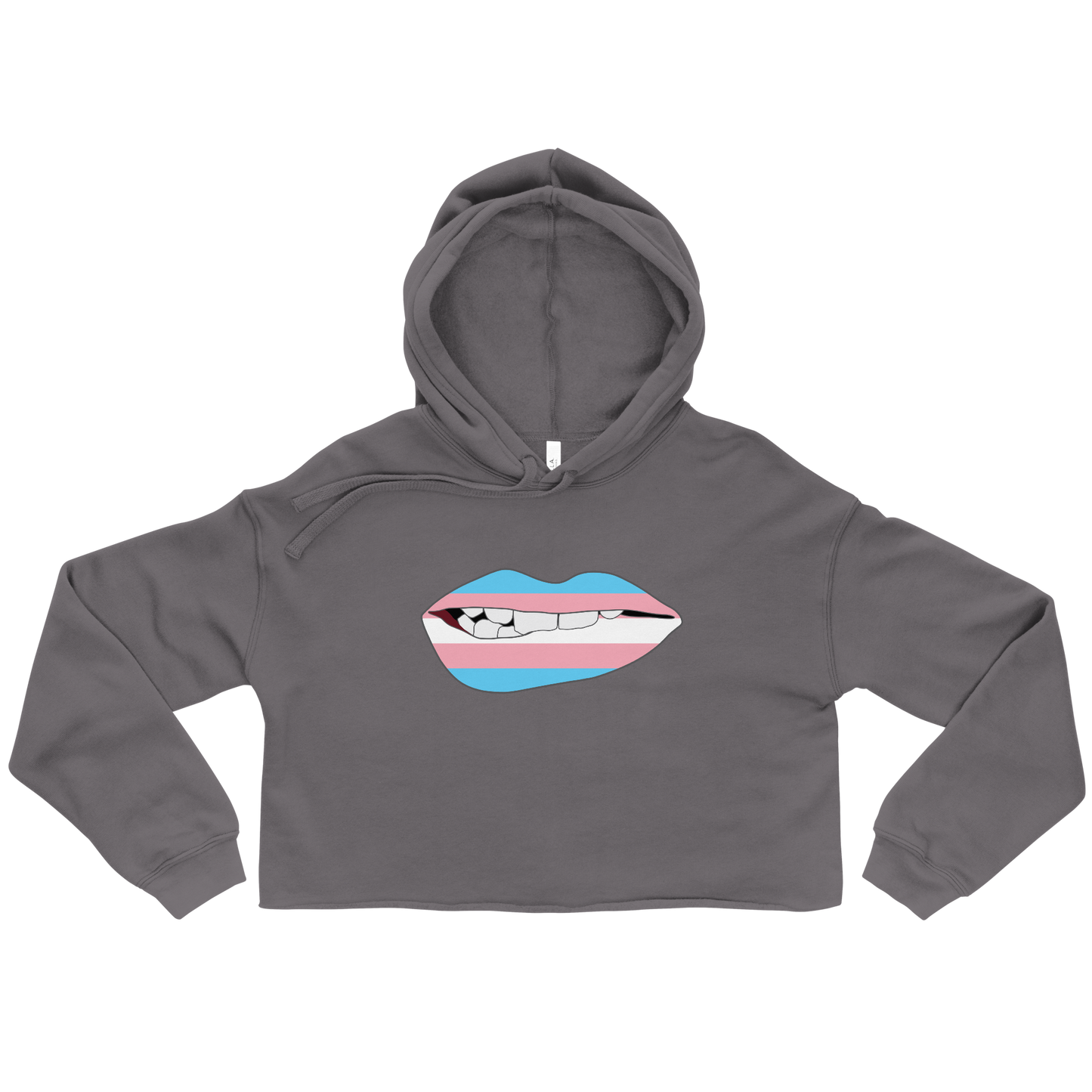 Biting Lips - Transgender Flag Crop Hoodie