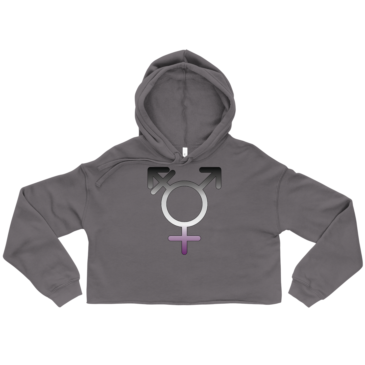 Transgender Symbol - Asexual/Demisexual Pride Crop Hoodie